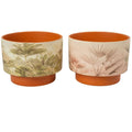 Vaso Terracotta c/Flores Desenhos Sortido 22cm