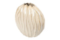 Vaso Cerâmico Baron Listrado Creme 42x41x20cm
