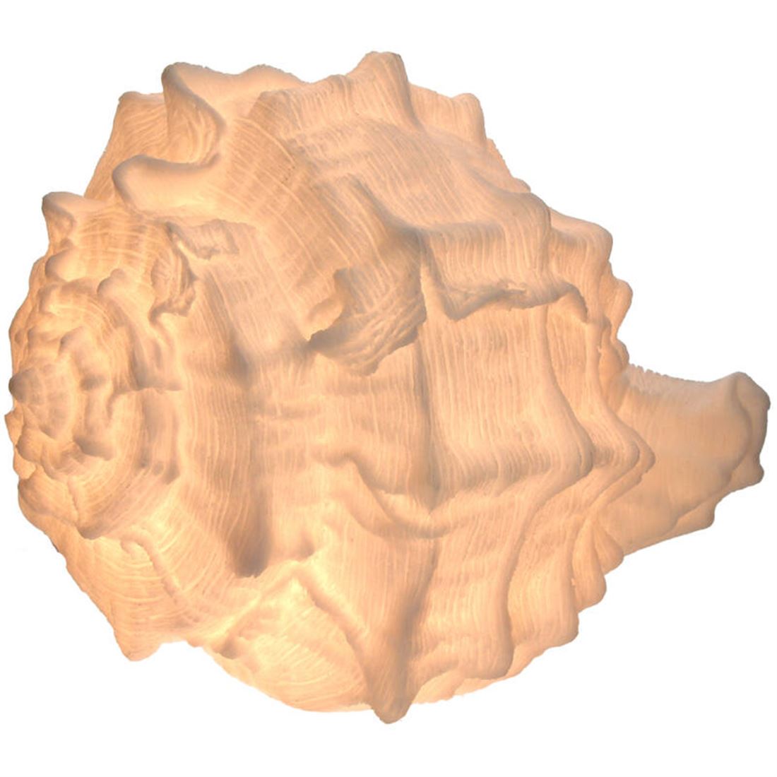 Candeeiro/Lamparina Forma Concha Marfim 29x36cm