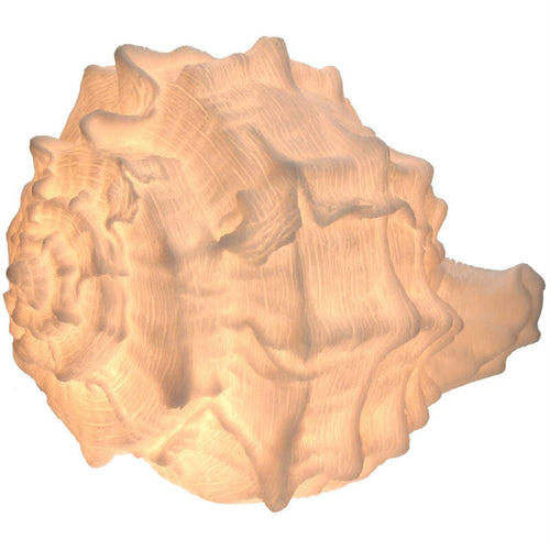 Candeeiro/Lamparina Forma Concha Marfim 29x36cm